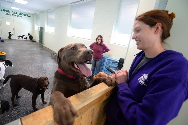 Calling All Dogs co-owner Tori Ganino, right, and staff member Brittany Kelso keep an eye on Hershey, a silver lab.